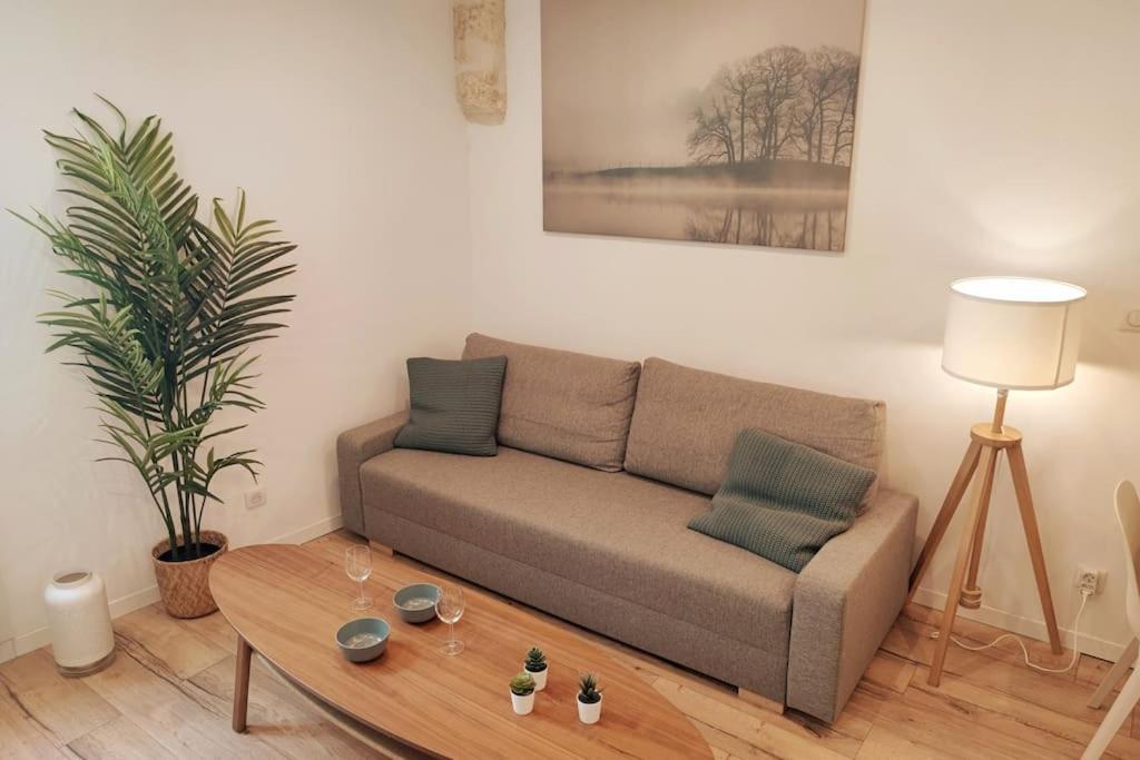 Studio Arthur - Centre-Ville - Wifi - Cosy Avinyon Dış mekan fotoğraf